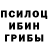 Галлюциногенные грибы Psilocybe Sayan Saryka