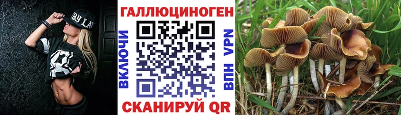 Псилоцибиновые грибы Psilocybe  даркнет сайт  Рыльск 